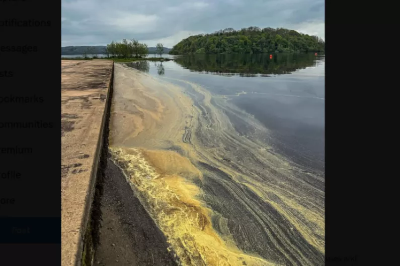 Environmental expert: Substance in Roscommon lakes is pine pollen