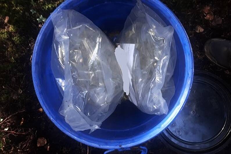 &euro;96,000 worth of cannabis discovered in Roscommon woods