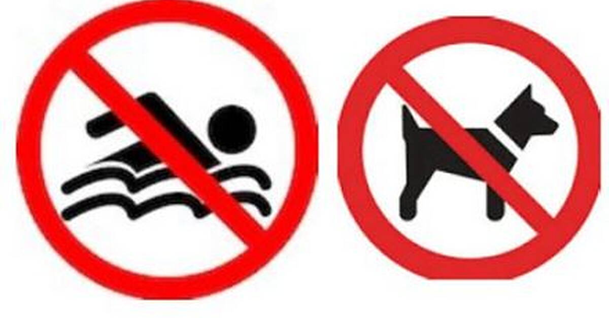 Council issue warning after algal bloom discovered in Leitrim lake - Vimarsana News