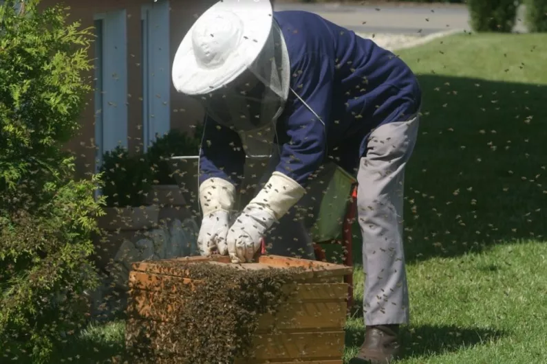 Longford councillor wants scheme to encourage farmers to keep bees