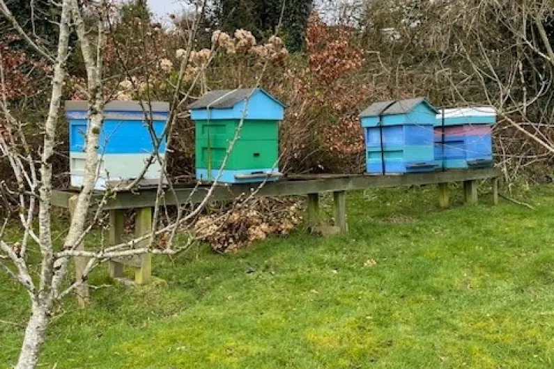 Local Garda&iacute; appeal for information following theft of beehives