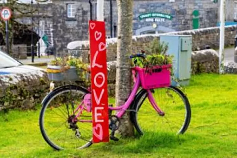 Painted bicycles will be back on display soon in Carrick on Shannon