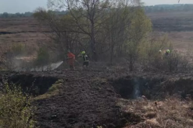 Warning issued by animal activist after local bog fires threaten nesting curlews