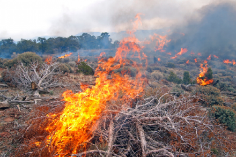 Late change to burning green waste welcomed