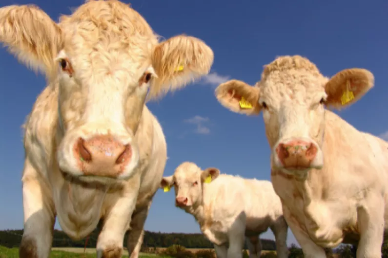 Climate benefits of Agri-industry being ignored - says Leitrim farmer