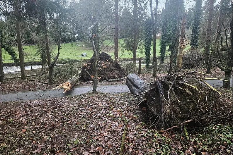 Castlerea Demesne suffers thousands of euros' worth of damage in storm