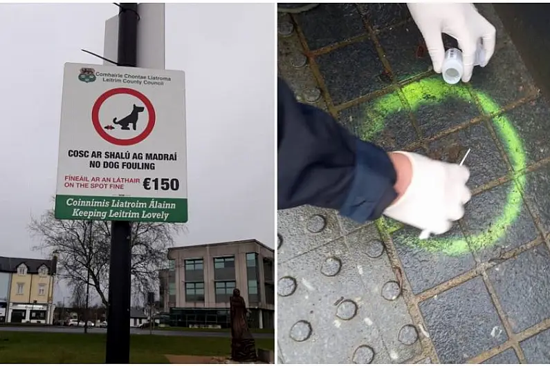 No fines issued for dog fouling in the Shannonside region last year