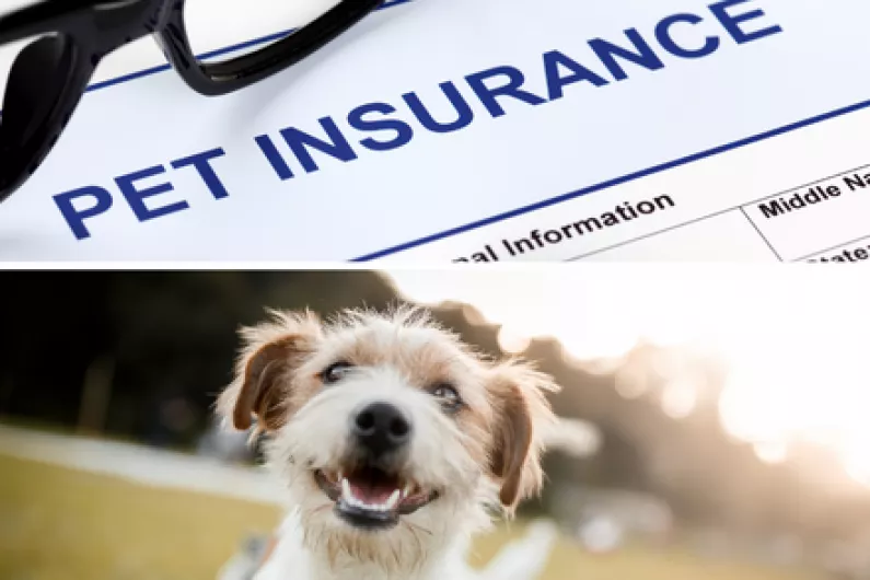 Calls for dog insurance to be made compulsory