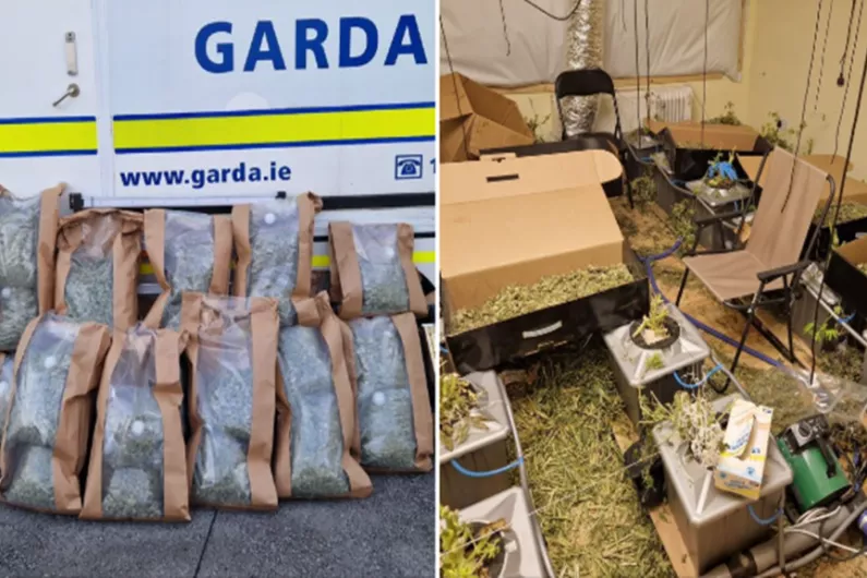 Gardai seize cannabis worth &euro;700,000 in Roscommon