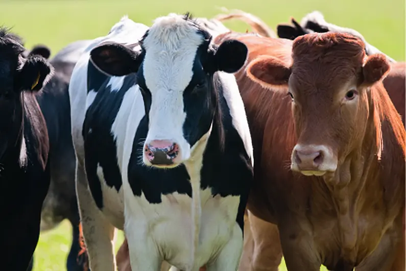 Only 12pc of farm owners in Longford and Roscommon are women