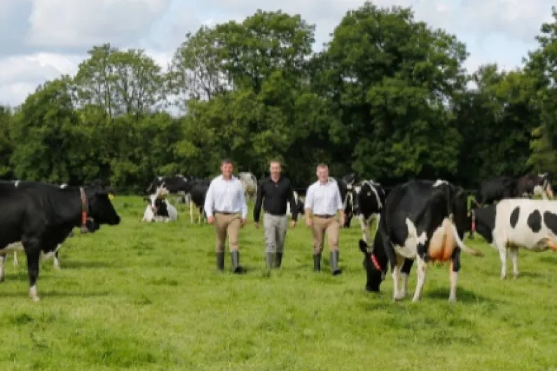 Listen: Growing use of technology on Irish farm enterprises