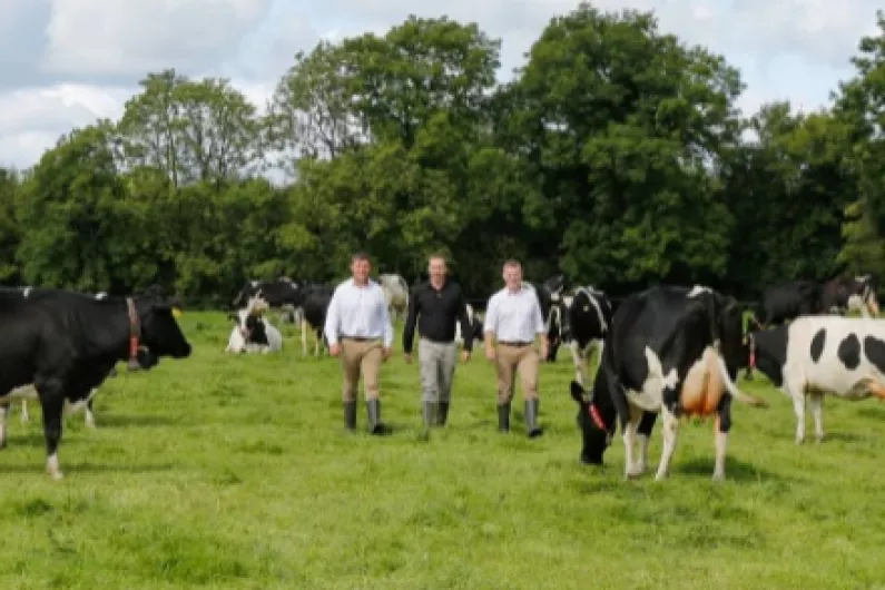 New farm safety programme will hopefully be rolled out shortly