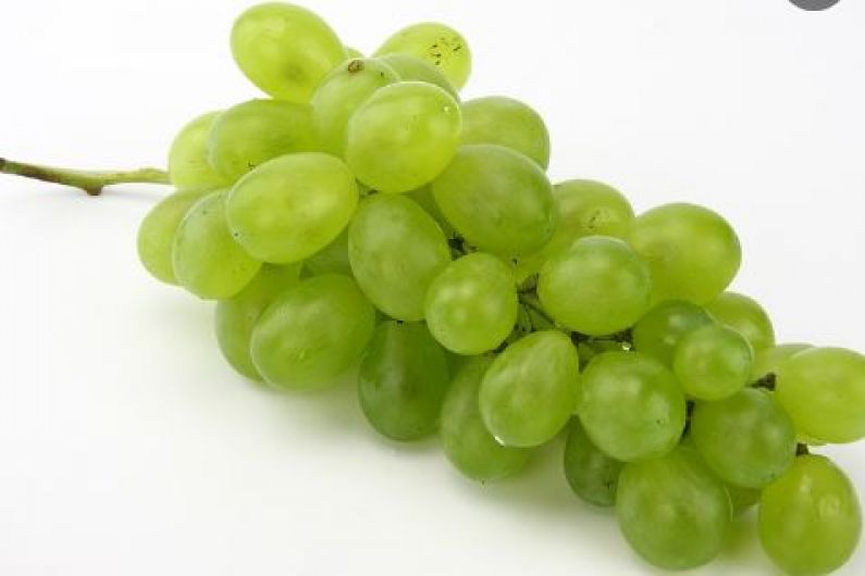 Roscommon mother critical of emergency services after child almost choked on grape