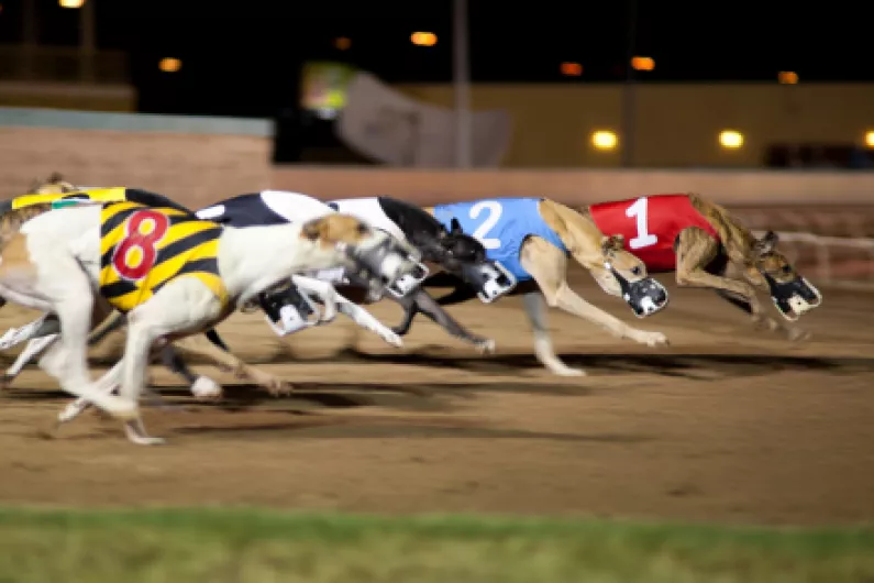 Calls on Government to stop funding greyhound industry