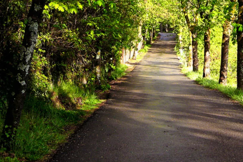 Appointment of consultant engineers on local greenway project welcomed