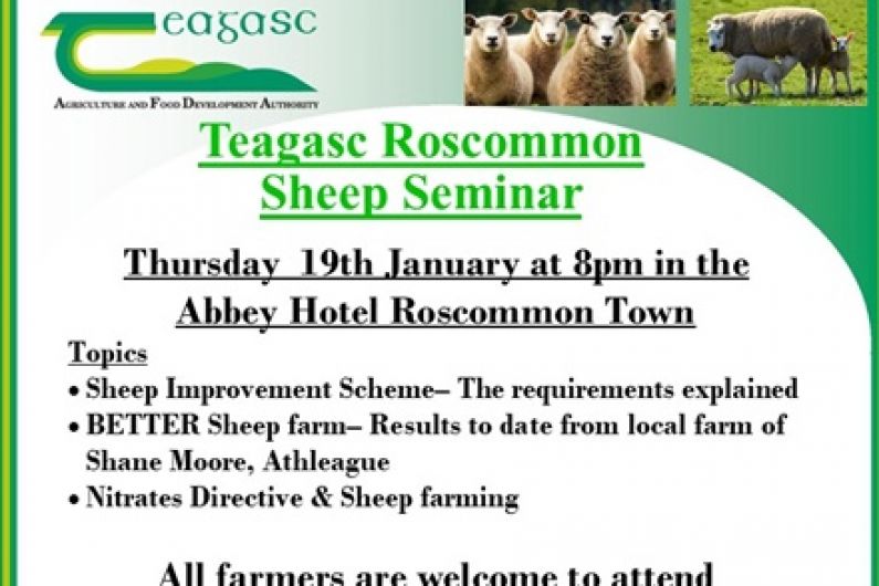 Sheep price crisis on agenda for Teagasc Sheep Seminar this evening