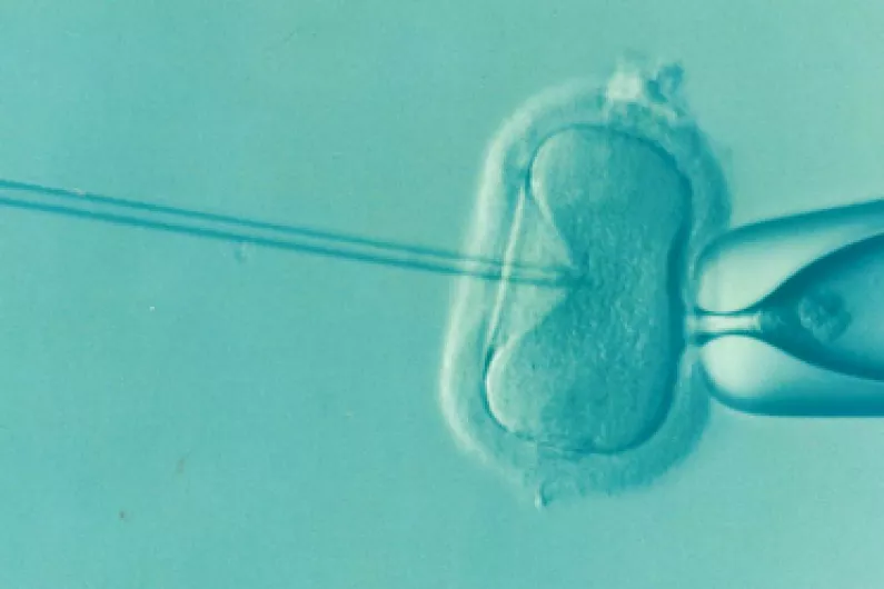 Government announce plans to fund IVF treatment from next year