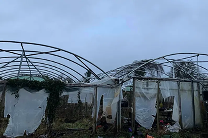 Popular Longford Garden Centre hit hard by Storm Eowyn