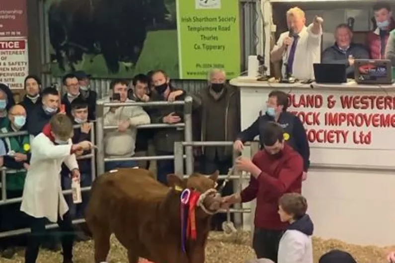 WATCH: History made in Carrick-on-Shannon as heifer reaches record price