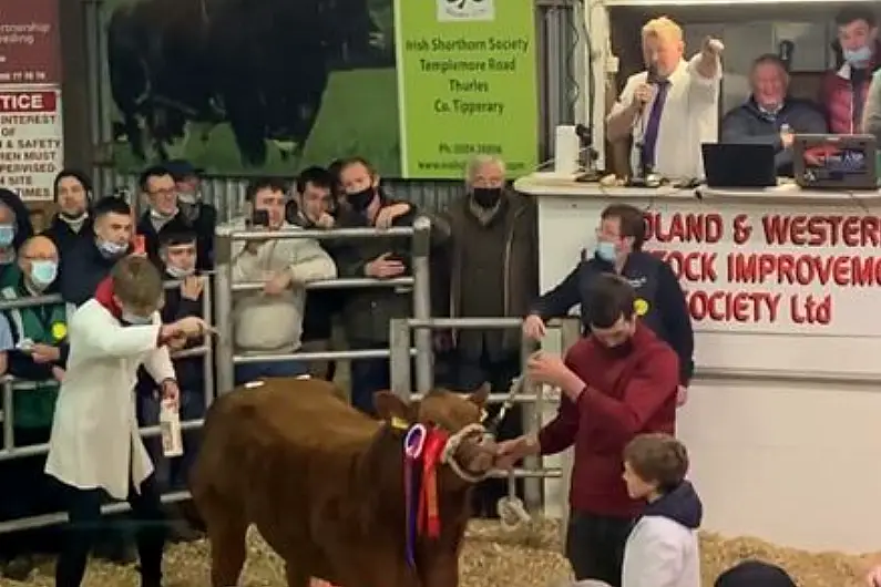 WATCH: History made in Carrick-on-Shannon as heifer reaches record price