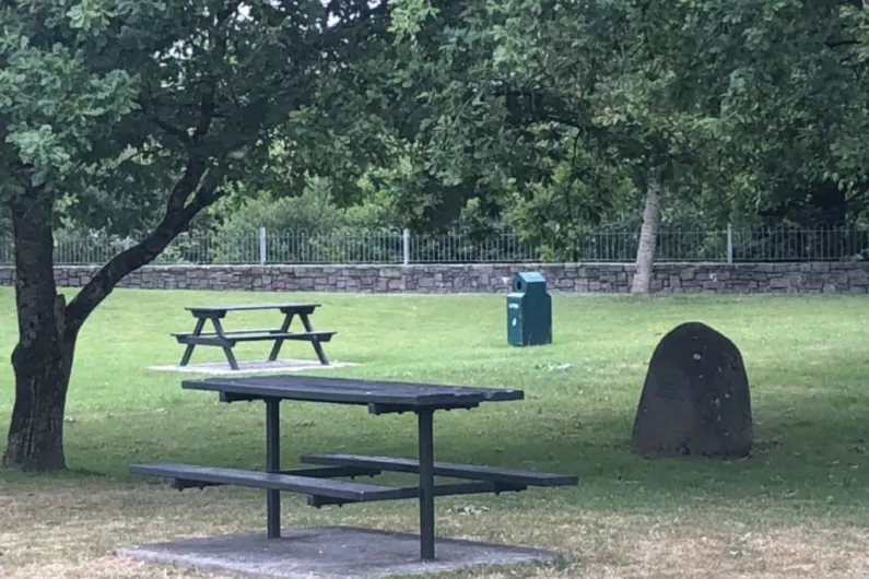 Calls for new council parks division to help upkeep local amenities