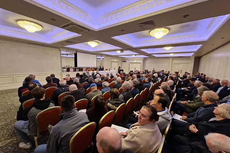 'This is a natural disaster' - over 250 people attend forestry meeting in Carrick