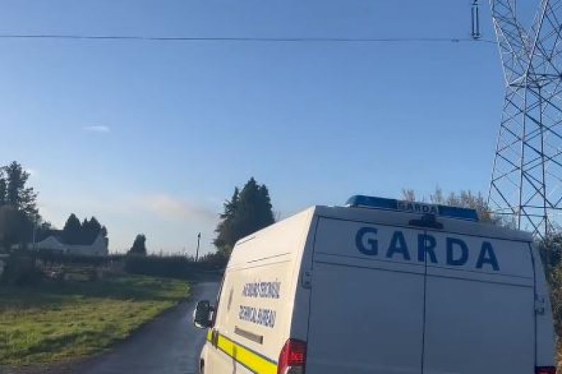Person of interest questioned by Gardai in connection with Westmeath death