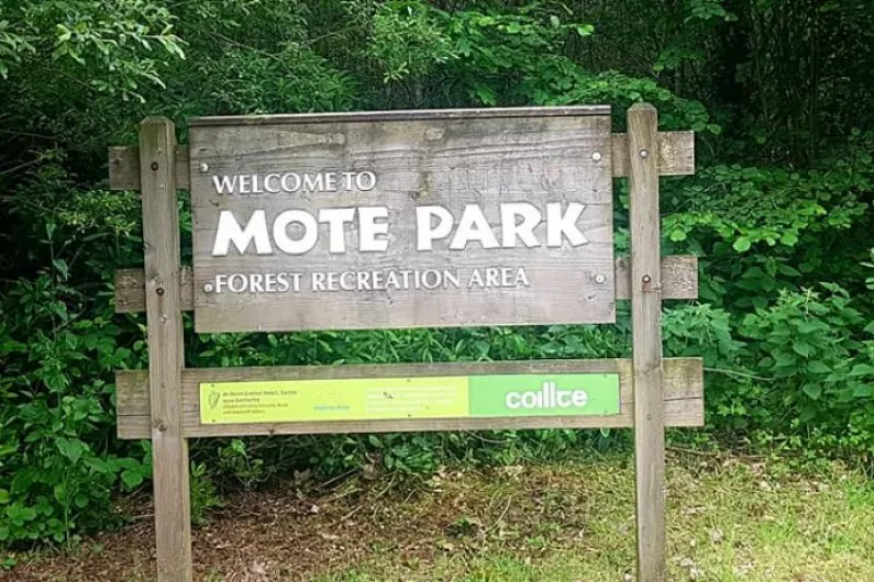 Coillte respond to local concerns over Mote Park forestry works