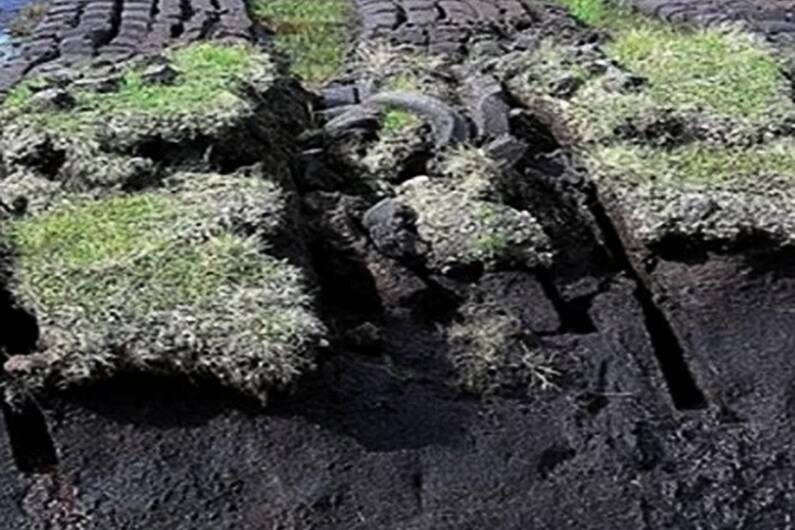 Local TD brands EU peatland re-wetting protocols as a 'mad law'