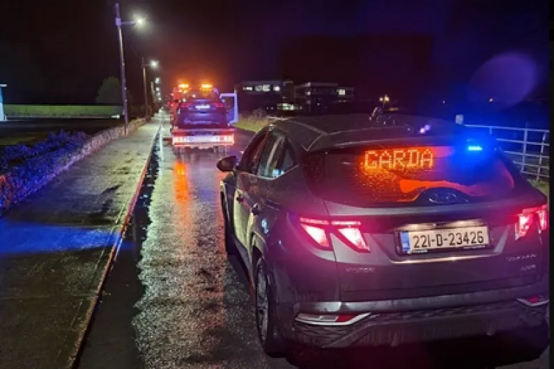 Roscommon Garda&iacute; arrest motorist for multiple offences