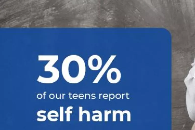 One-in-three Roscommon young people has self harmed - survey