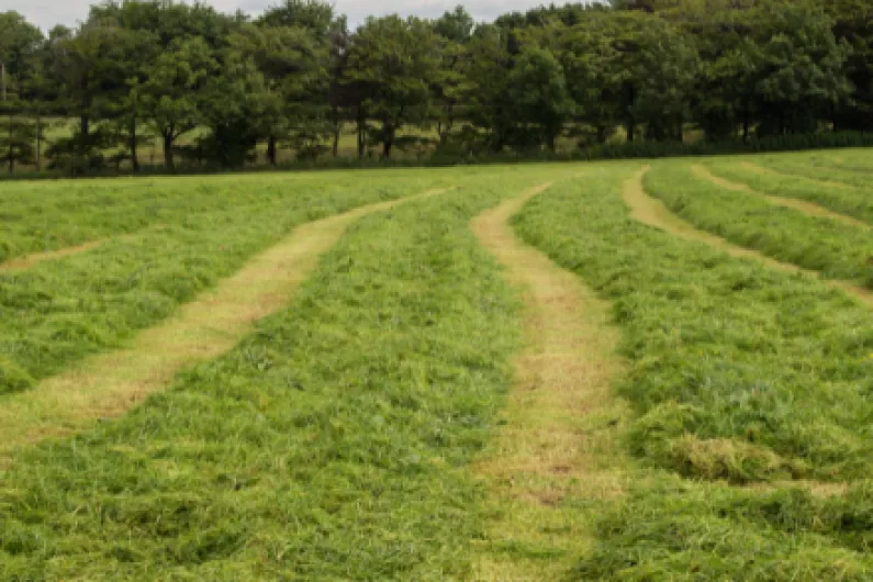 Appeals for safety at start of silage season