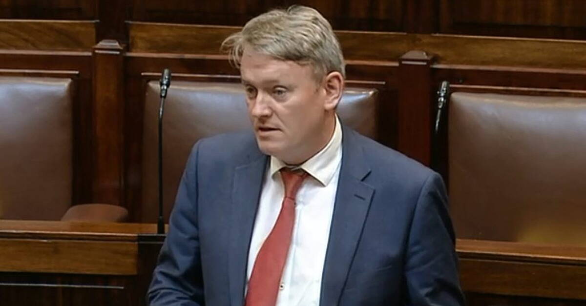Changes needed in Ireland's judicial system says Longford Senator - Vimarsana News