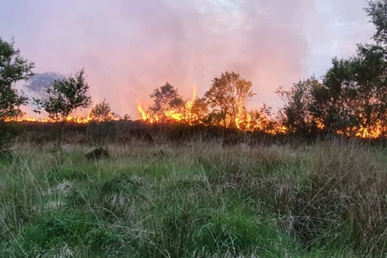 Warning of high risk of bog fires as weather stays dry