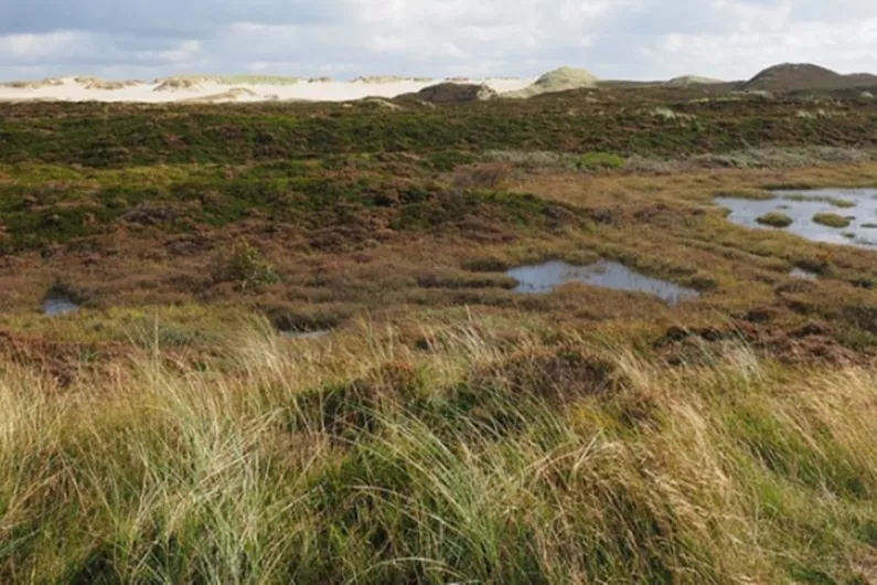 More peatland expected to be rehabilitated across Longford and Roscommon