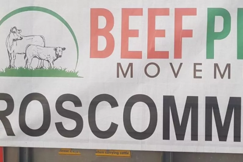 PODCAST: Roscommon Beef Plan elect new officers