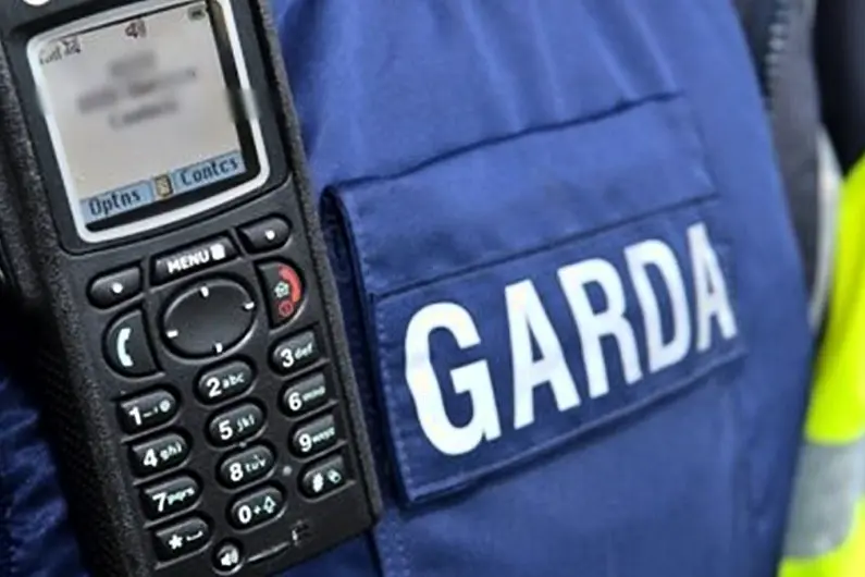 Carrick Garda&iacute; appeal for information on suspicious vehicle