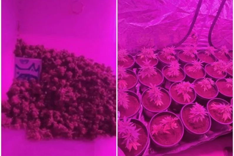 &euro;31000 worth of cannabis seized following search of Roscommon home