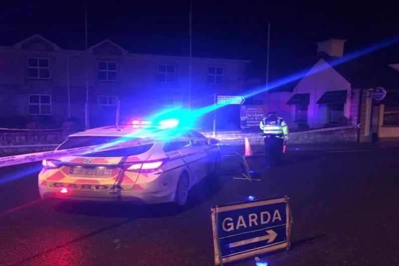 Garda Covid-19 checkpoints resume on national and local roads
