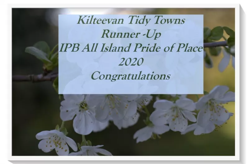 Townspark, Carrick on Shannon, Kilteevan Tidy Towns and Roscommon Gaels recognised at Pride of Place awards