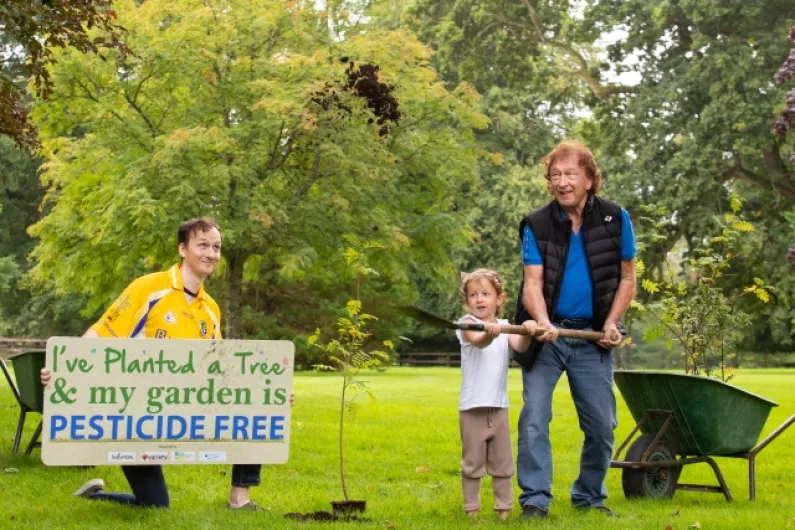 Roscommon schoolchildren to plant over 7,000 trees as part of eco-scheme