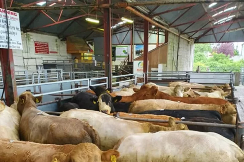 Shannonside marts to accommodate buyers and sellers as restrictions ease