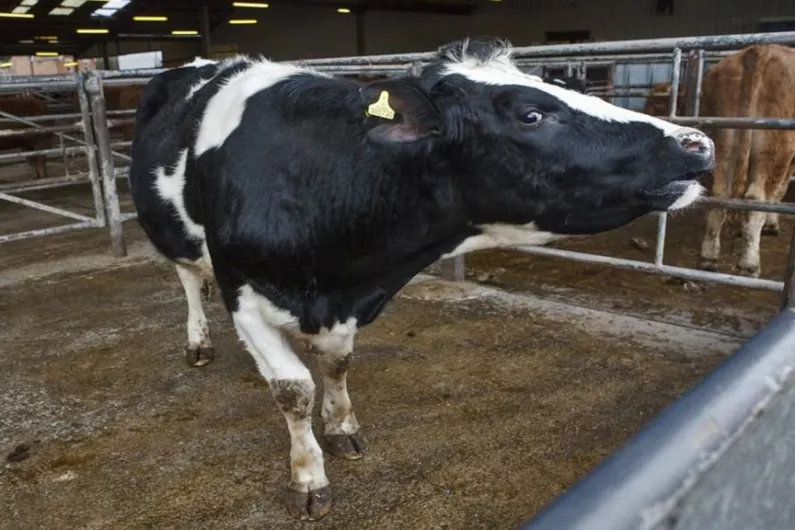 A Shannonside Councillor is calling on special measures to be implemented at cattle marts.