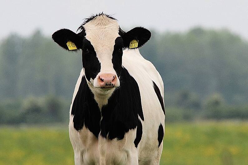 Local IFA official says 30% carbon cut will be resisted