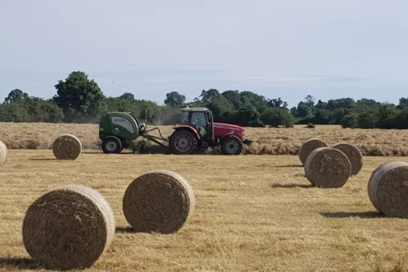 Longford TD feels incentives needed for farmers to meet emissions target