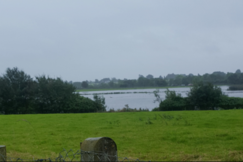 IFA calling for maintenance on River Shannon to prevent floods on Callows