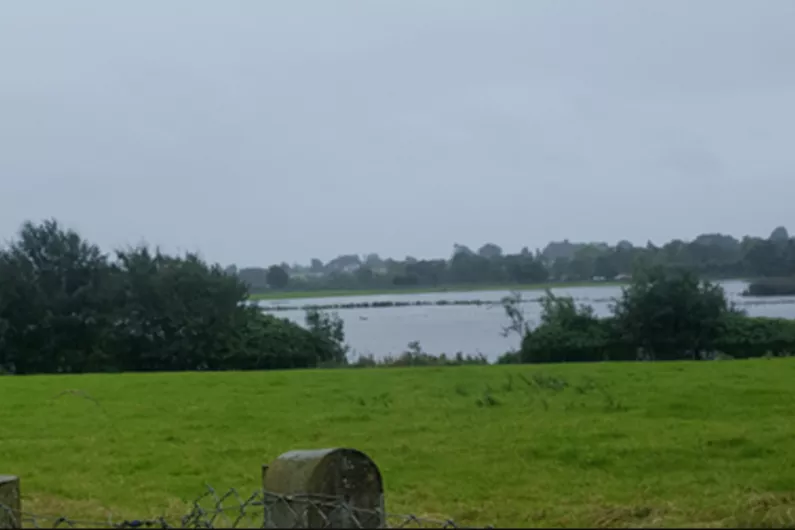 IFA president welcomes funding for flooded Shannon Callows land