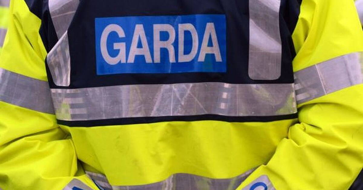 Roscommon gardai appeal to the public over recent break ins - Vimarsana News