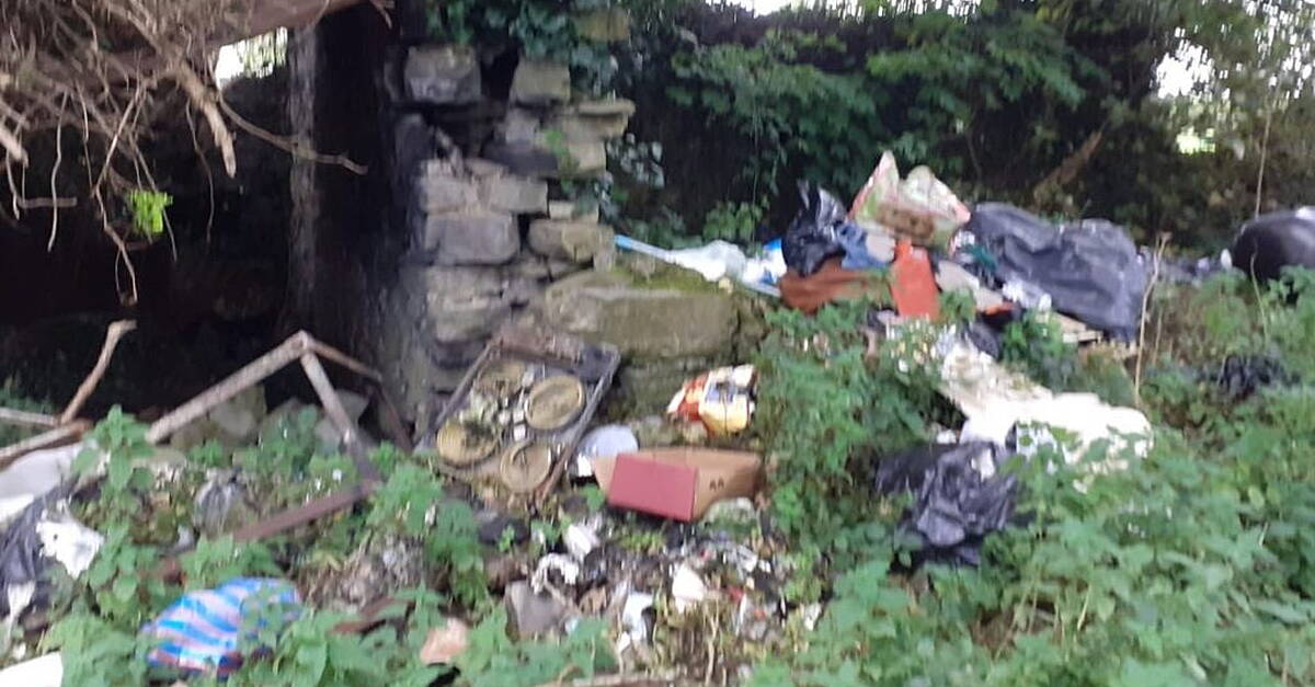 Complaints of animals in water and asbestos made to one local authority so far this year - Vimarsana News