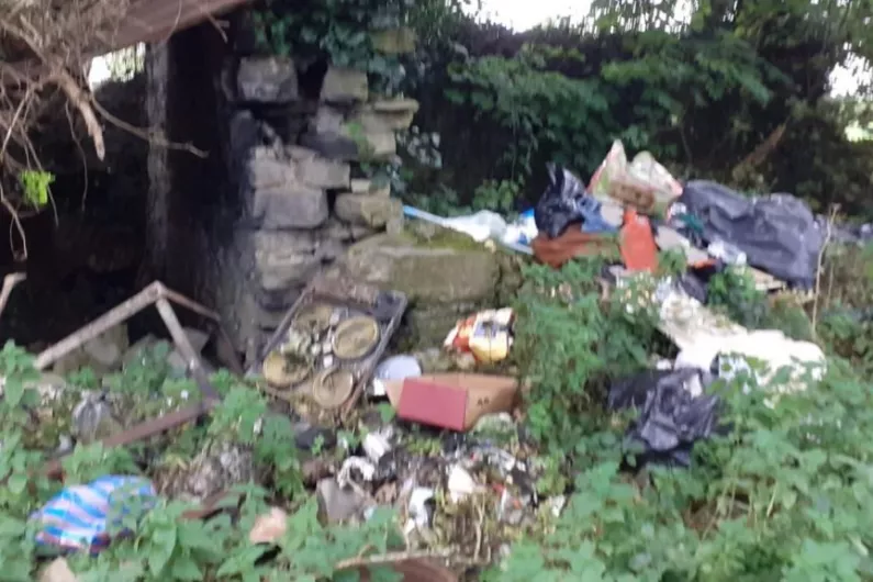 Longford Council says it tries to act quickly to remove incidents of illegal dumping